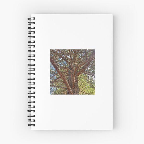 Item preview, Branches designed and sold by SashaSprite.