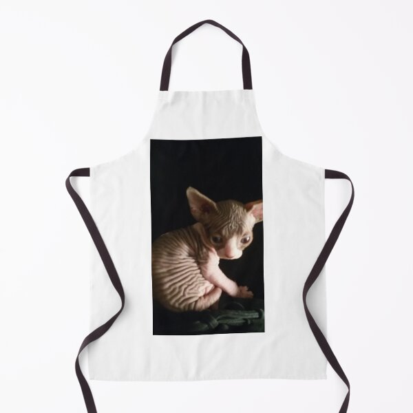 Item preview, kitten bicolor sphynx cat designed and sold by royalsphynxcat.