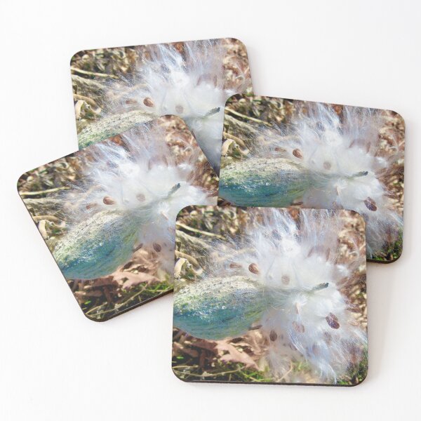 Item preview, Milkweed seeds designed and sold by Shulie1.