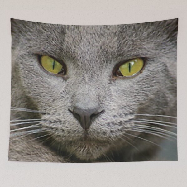 Item preview, Farm Tom Cat designed and sold by Spirit-Dragon.