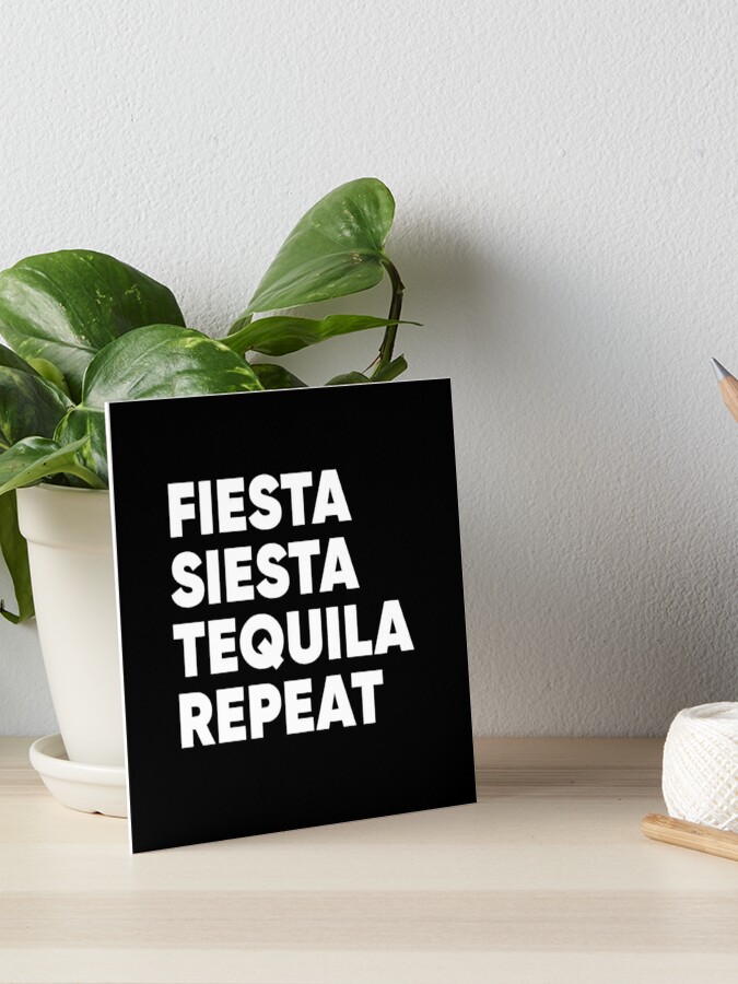 SALE! Fiesta Siesta Tequila Repeat Cinco De Mayo - Set of 10 Cups