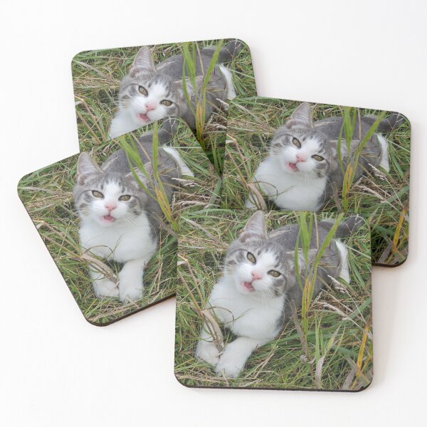 Item preview, Kitten - Cute Kitten Steve designed and sold by f2error.