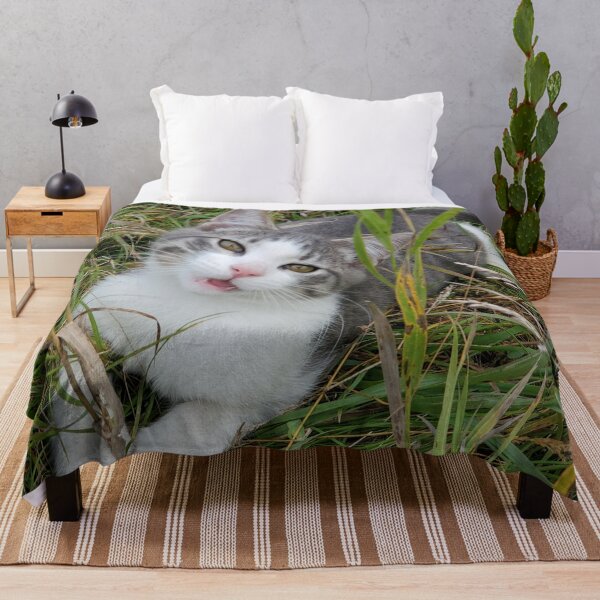 Item preview, Kitten - Cute Kitten Steve designed and sold by f2error.