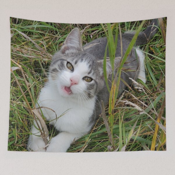 Item preview, Kitten - Cute Kitten Steve designed and sold by f2error.