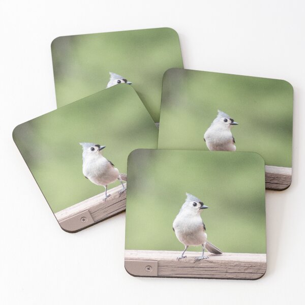 Item preview, Tufted Titmouse designed and sold by amogulskier.