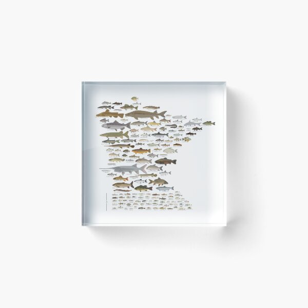 Item preview, Fishes of Minnesota designed and sold by andybirkey.