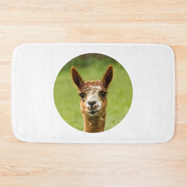Item preview, Llama Portrait designed and sold by Jane Stanley Photography.
