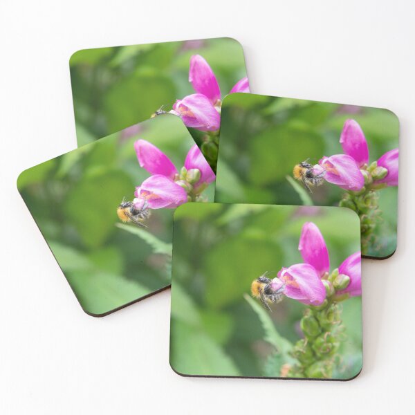 Item preview, Bee taking nectar out of pink flower  designed and sold by krisgreenwood.