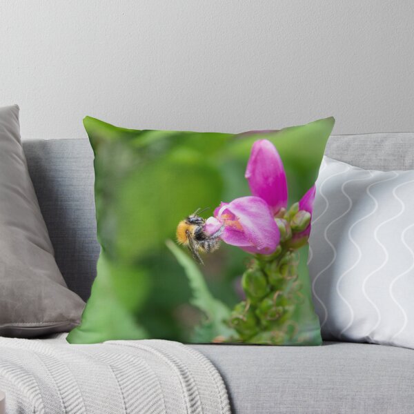 Item preview, Bee taking nectar out of pink flower  designed and sold by krisgreenwood.