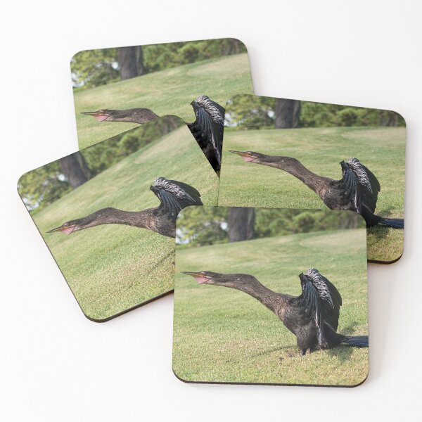 Item preview, An American Anhinga designed and sold by amogulskier.