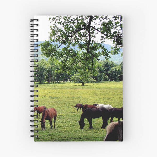 Item preview, Cades Cove designed and sold by HisRuin.