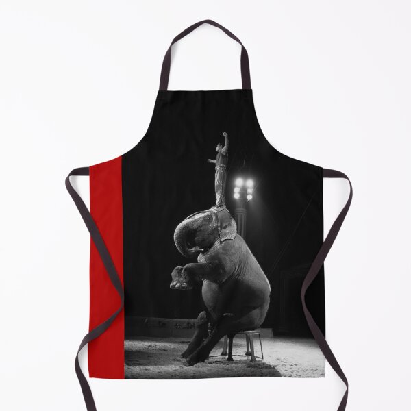 Item preview, 2007 L'elefante del Circo Roma designed and sold by robertoferrero.