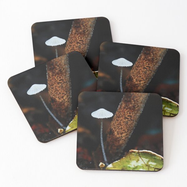 Tiny Mushroom Coasters (Set of 4)