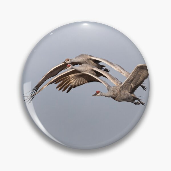 Item preview, Sandhill Crane Family 2020-1 designed and sold by Thomasyoung.