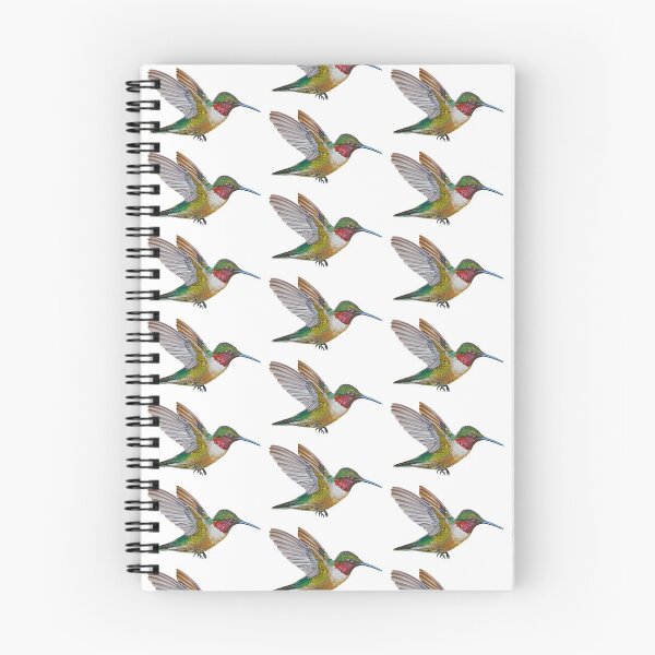 Artikelvorschau, Ruby Throated Hummingbird Painting (kein Hintergrund) entworfen und verkauft von Emily Bickell.