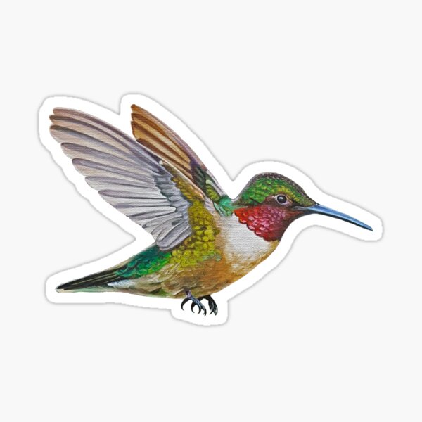 Item preview, Ruby Throated Hummingbird Painting (no background) designed and sold by Emily Bickell.