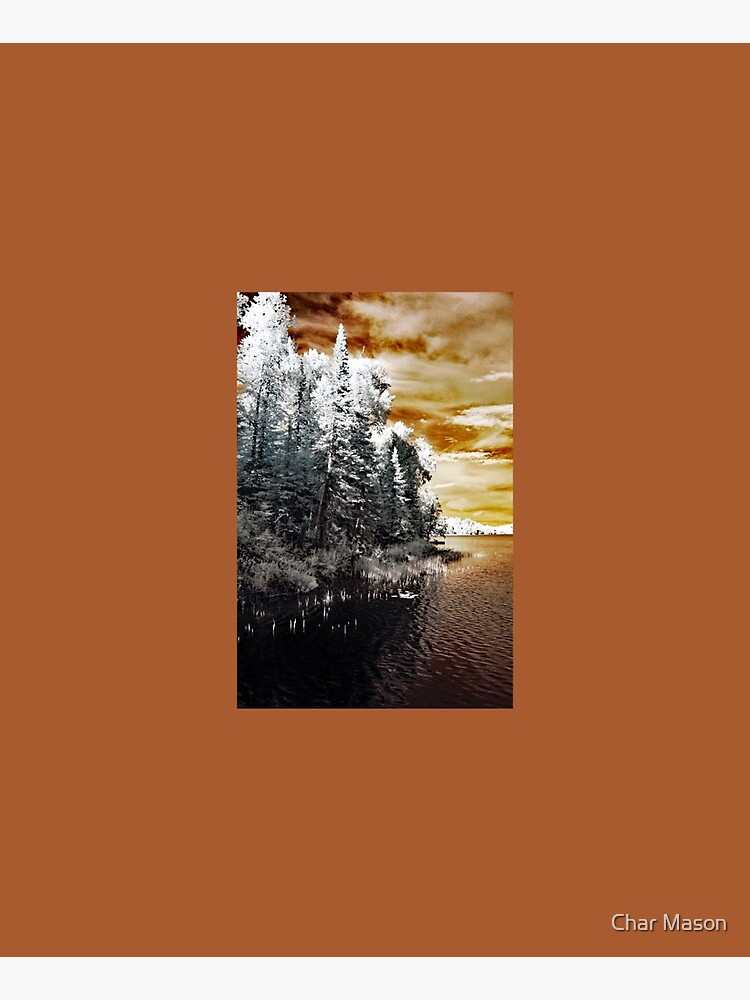 Thumbnail 6 of 6, Apron, Infrared View at Bearskin Lake designed and sold by Char Mason.