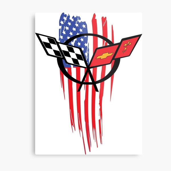 USA C5 Metal Print