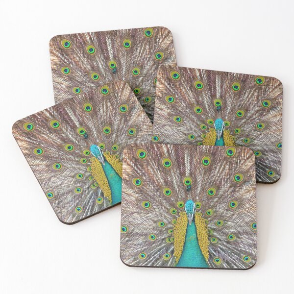 Item preview, Publicist designed and sold by LibrosBOOKtique.