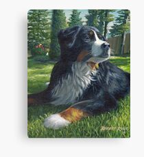 "Romeo" Bernese Mountain Dog Canvas Print