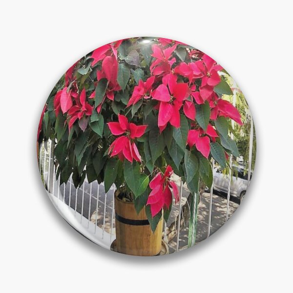 Item preview, Noche buena designed and sold by Wooloowoo.
