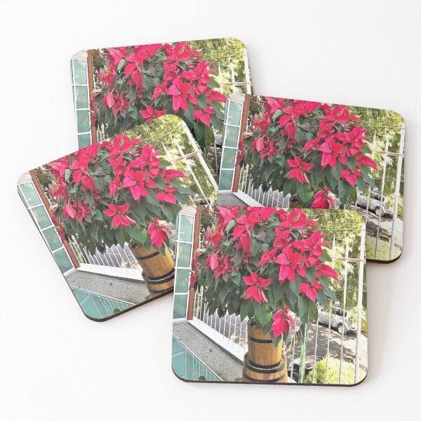 Item preview, Noche buena designed and sold by Wooloowoo.