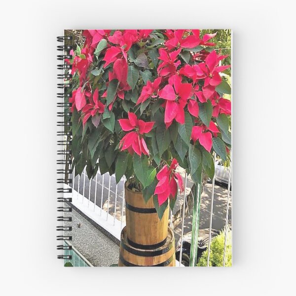 Item preview, Noche buena designed and sold by Wooloowoo.