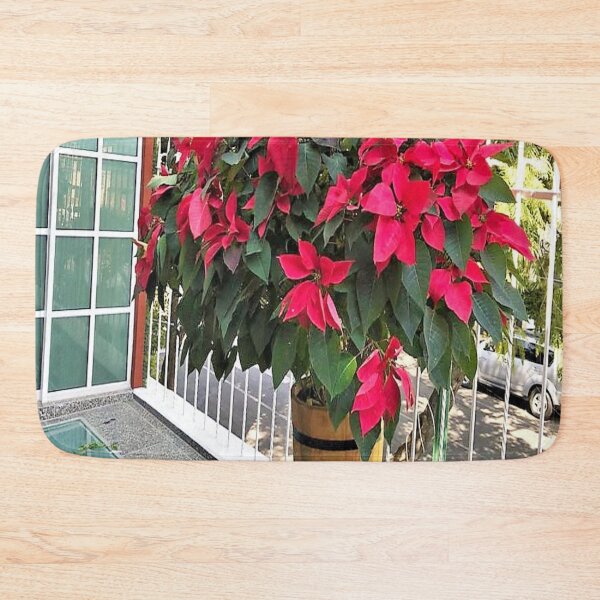 Item preview, Noche buena designed and sold by Wooloowoo.