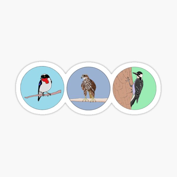 Endangered Birds Sticker