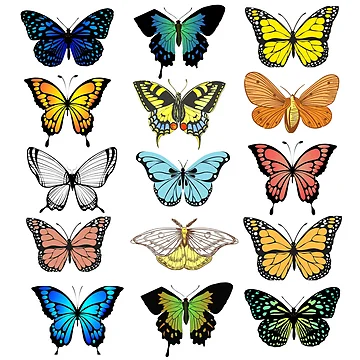 Artwork thumbnail, Butterfly by Cute Bunny