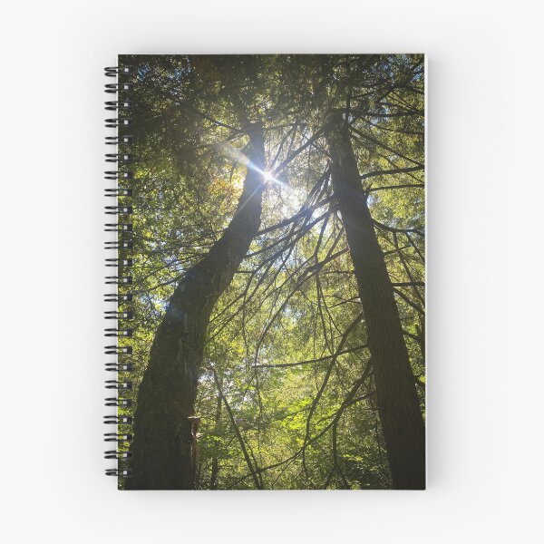 Item preview, The joy of light  designed and sold by Mark  Larlham.