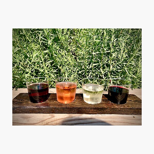 Item preview, Wine Flight designed and sold by rayofsunsineart.