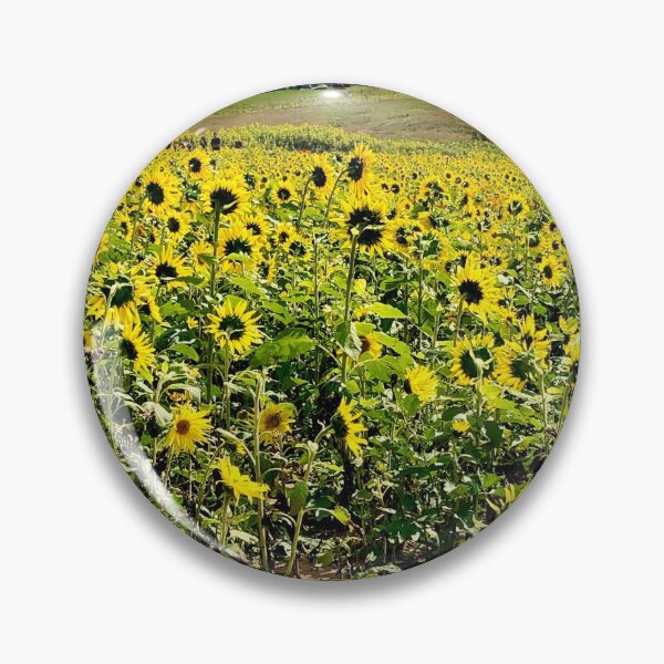 Item preview, Field of Sunflowers  designed and sold by rayofsunsineart.