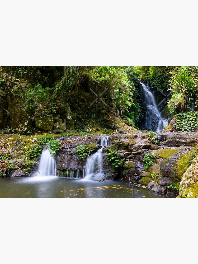 Thumbnail 3 of 3, Photographic Print, Elabana Falls Lamington National Park Australia designed and sold by AdrianAlford.