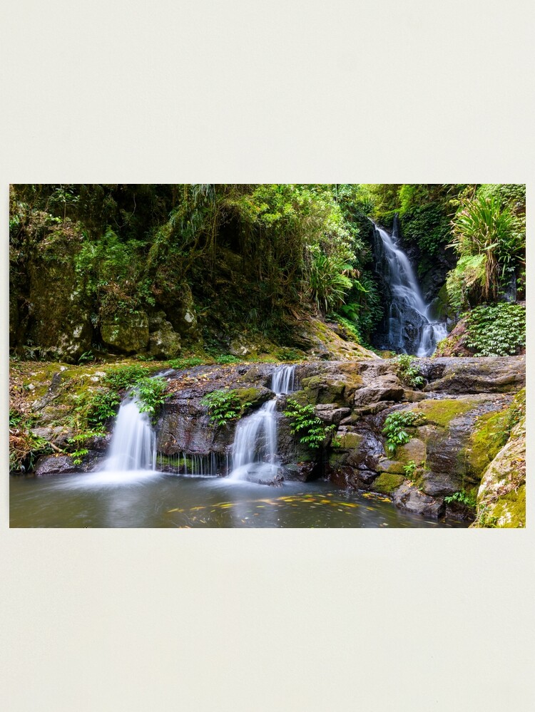 Thumbnail 1 of 3, Photographic Print, Elabana Falls Lamington National Park Australia designed and sold by AdrianAlford.