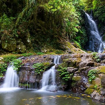 Artwork thumbnail, Elabana Falls Lamington National Park Australia by Adrian Alford Photography