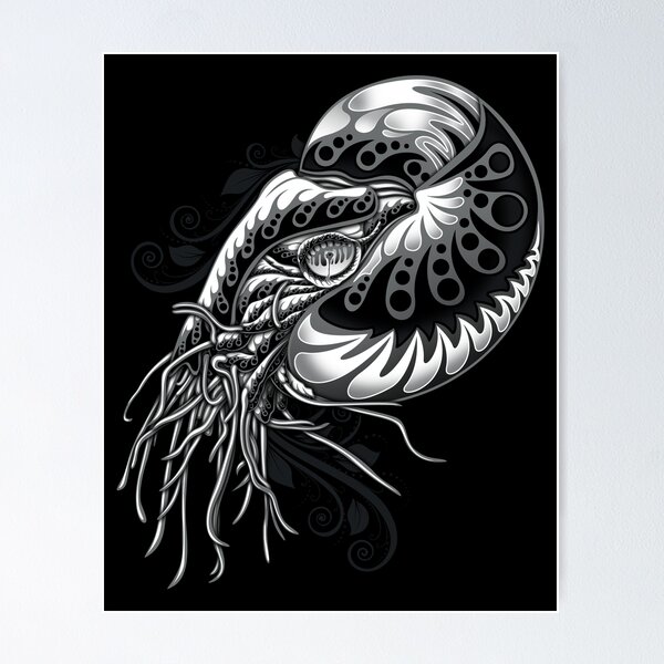 Nautilus Tattoo Stock Illustrations – 406 Nautilus Tattoo Stock  Illustrations, Vectors & Clipart - Dreamstime