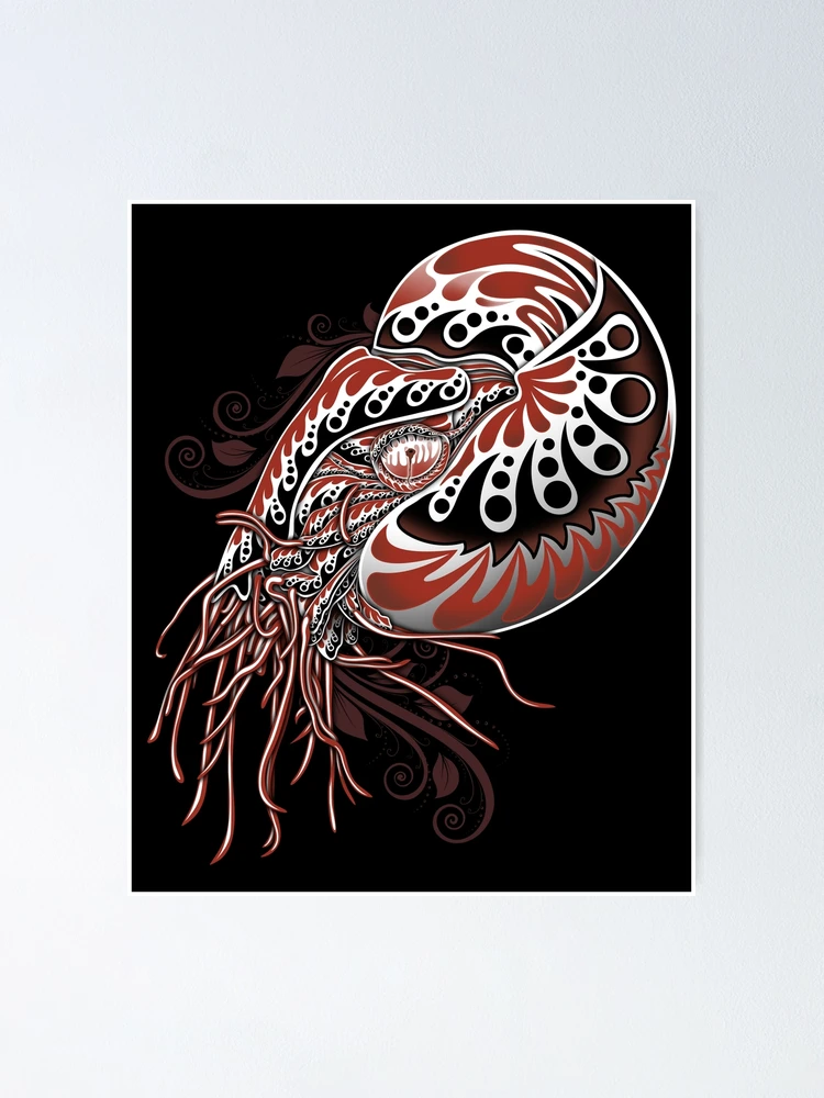 Freehand Nautilus.