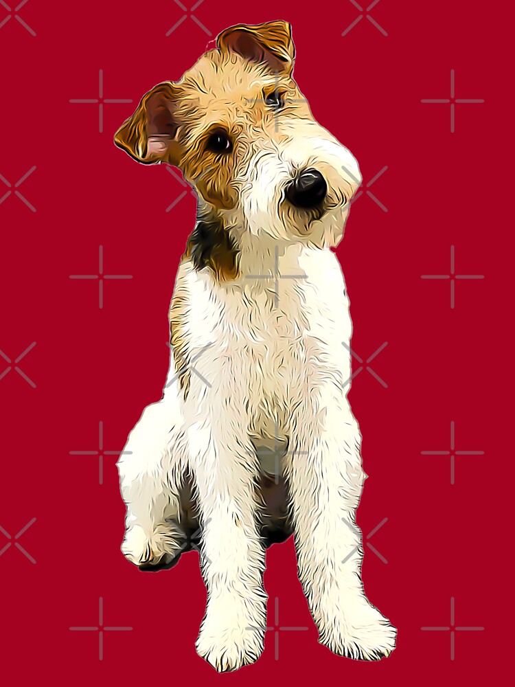 Hair Fox Red Fox Terrier Dog Fox Terrier English Fox Terrier With
