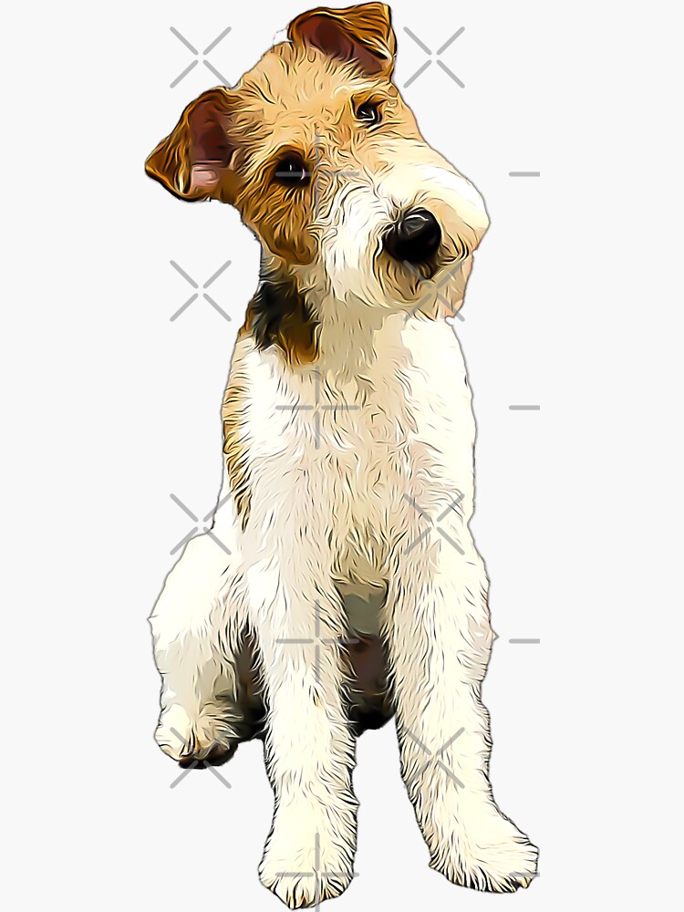 Fox terrier outlet face