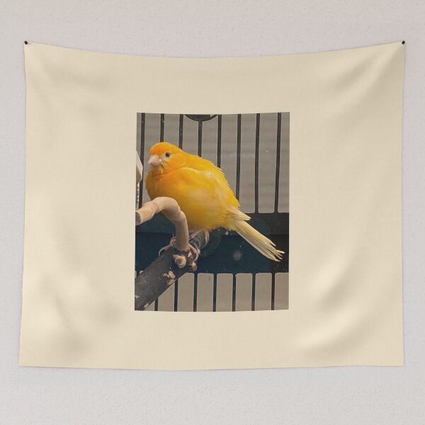 Item preview, Lovely Canary designed and sold by Taranodongirl7.