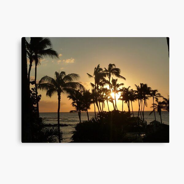 Sunset and palm trees in Hawaii Canvas Print