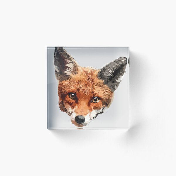 Sad Fox Acrylic Block