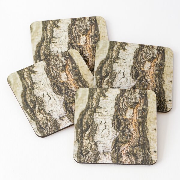 Item preview, Birch Wood Tree Texture Art designed and sold by irenececilia.