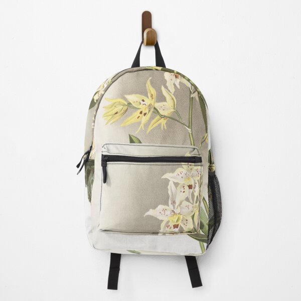 Item preview, Reichenbachia: Orchids Illustrated and Described designed and sold by EsotericBotanic.