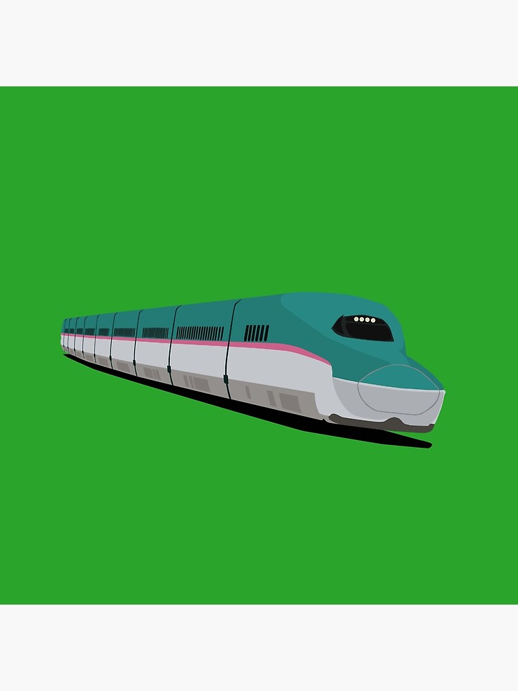 Shinkansen E5 Series Bullet Train- Tokyo, Japan