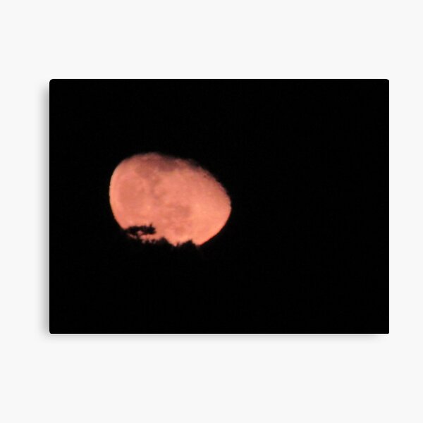 Moonset Canvas Print