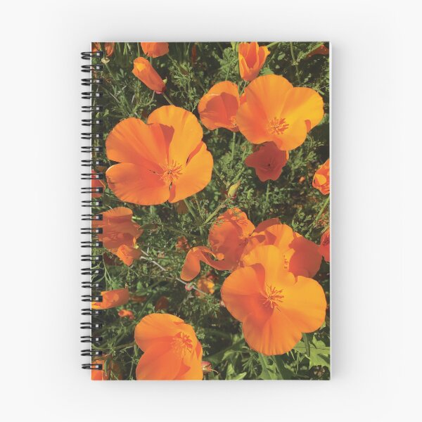 Item preview, California Poppies designed and sold by AlyssaBat.