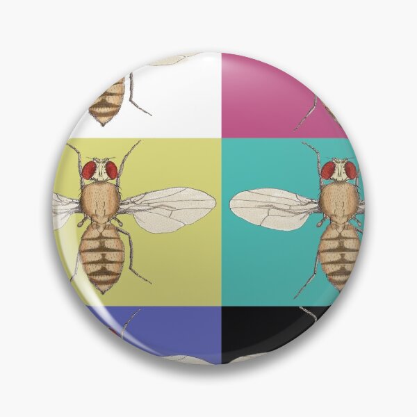 Item preview, Drosophila melanogaster designed and sold by deeptitrivedi.