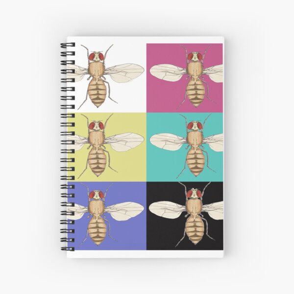 Artikel-Vorschau von Drosophila melanogaster, designt und verkauft von deeptitrivedi.